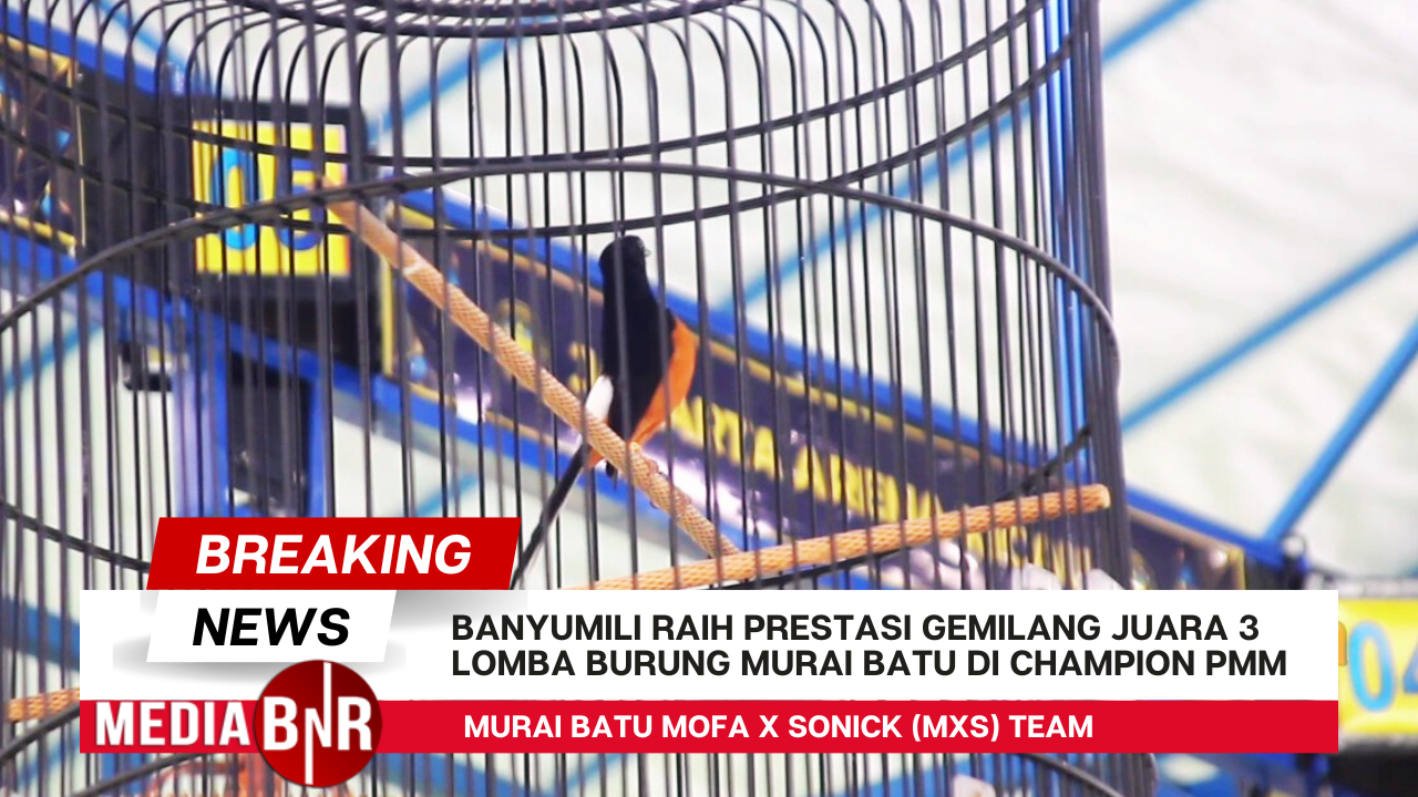 Champion PMM Mofa X Sonick (MxS) Team